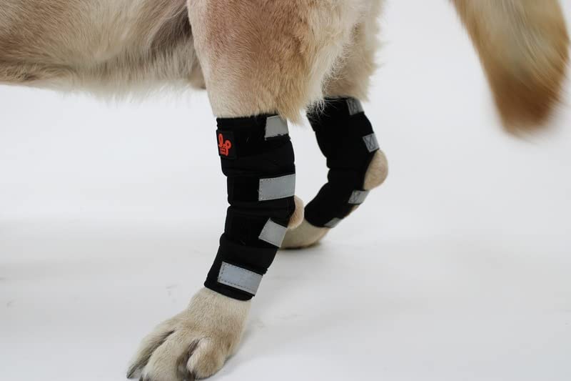 Lana Paws Dog Back Leg Slpint Braces for Hock Joint Support, Ankle Support & Mobility, M, Left Leg (B0C33HW562) Amazon Price History, Amazon Price Tracker