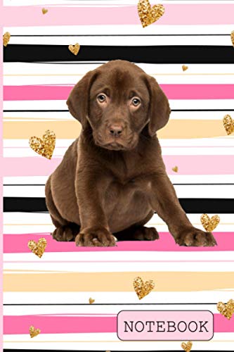 Notebook: Chocolate Labrador: Lined
