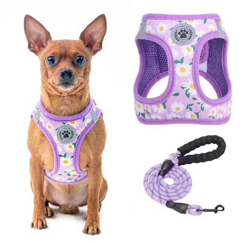 BEAUTYZOO �� �n�[�l�X ���[�h�Z�b�g �����Ȃ� ���� ��������h�~ �n���h���t�� ���߉\ �ʋC�� ���b�V�� �y�� ���ˍޕt�� ���E�ȒP ���K �U�� �P�� �V����� ���s�⏕ �`�F�b�N�� �y�b�g�p�i ������� ���^�� ���^���i�p�[�v���̉� M�j