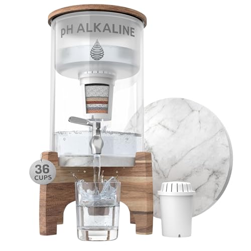 Invigorated Water pH Recharge Glass Dispenser