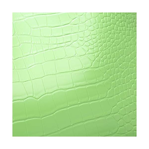 Womens-Soft-Faux-Leather-Tote-Shoulder-Bag-from-Dreubea-Big-Capacity-Tassel-Handbag Dreubea Women's Soft Faux Leather Tote Shoulder Bag from, Big Capacity Tassel Handbag Green-cro