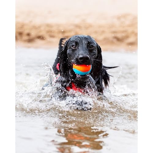 Image of ChuckIt! Amphibious Fetch Balls, Set of 3, Medium