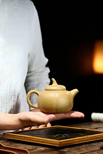 Image of Chinese Zisha Teapot Clay 230ml Small Chinese Gongfu Tea Pot Sesame Mud for Loose Tea Home Office (Pumpkin)