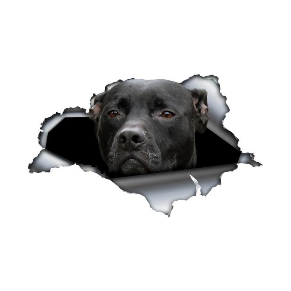 3D Pitbull Aufkleber, Zerrissener Effekt, Wasserfest, Reflektierend, für Auto, Stoßstange, Fenster, Kühlschrank, Laptop, Dekorative Sticker (22cm/8.7 Inch)