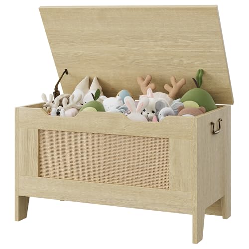 Garvee Baúl de Almacenaje baules de mimbre, baul almacenaje interior, Baul Juguetes Infantil,Para Entrada y Dormitorio.Color Madera Natural, 76×40×50 cm