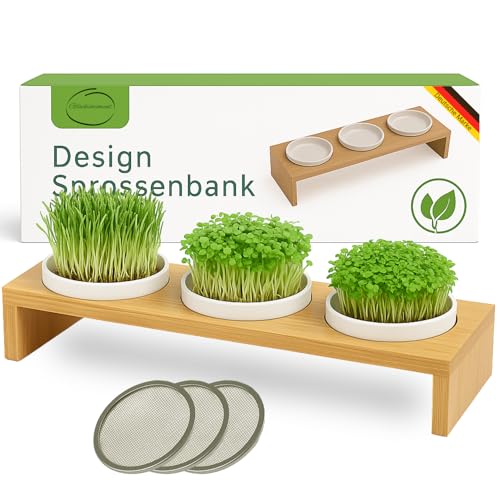Glücksmoment Kressebank 42cm mit 3 Keramik Kresse Anzuchtschalen für Kressesamen Sprossen & Microgreens Sprossen Anzuchtset Anzuchtregal 3 Anzuchttöpfe 3 x Keimschale mit Kressesieb Keimschalen