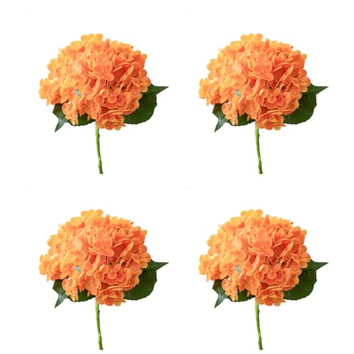 4 vȃtFCNAWTC̉ԏ_ȃC[ȒPgݗăz[p[eB[̑Aȃ^b`AWTC̉