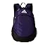 Team Collegiate Purple/Black/White