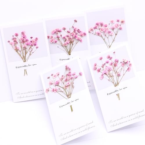 Pink Dried Flower Baby's Breath Greeting Card...