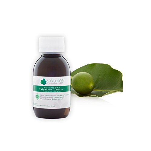 El Aceite Vegetal De Calófilia - Tamanu - 100% Puro Y Natural - Tiene Muchas Propiedades En La Aromaterapia - Uso De La Piel - Presión En Frío - 100 Ml - Vunthuiles