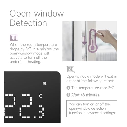 Chauffe-eau et chaudière à gaz WP 3A avec thermostat programmable