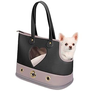 Pet Carrier Purse