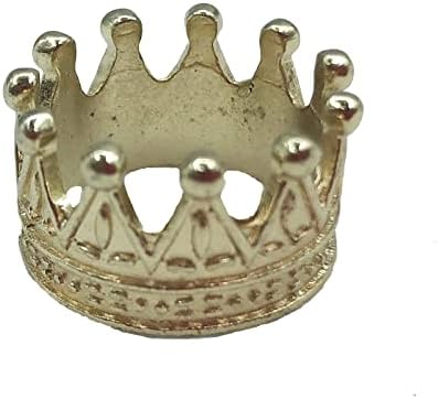 Wxbzbhwxc 蜥蜴帽爬行动物两栖动物皇冠服装配饰照片道具酷炫时尚金色合金皇冠适用于胡须龙鬣蜥 Cabrite 变色龙 Anole (银色)