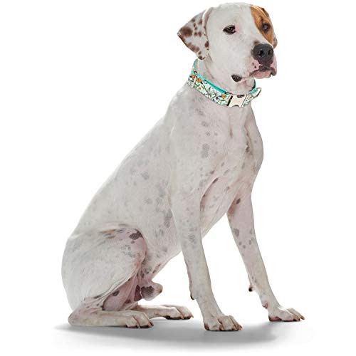 Timos Dog Collar For Small Medium Large Dogs,Adjustable Soft Puppy Collars With Metal Buckle,Printing Light Cyan,M Length 13.39''-20.87'' #TOP7