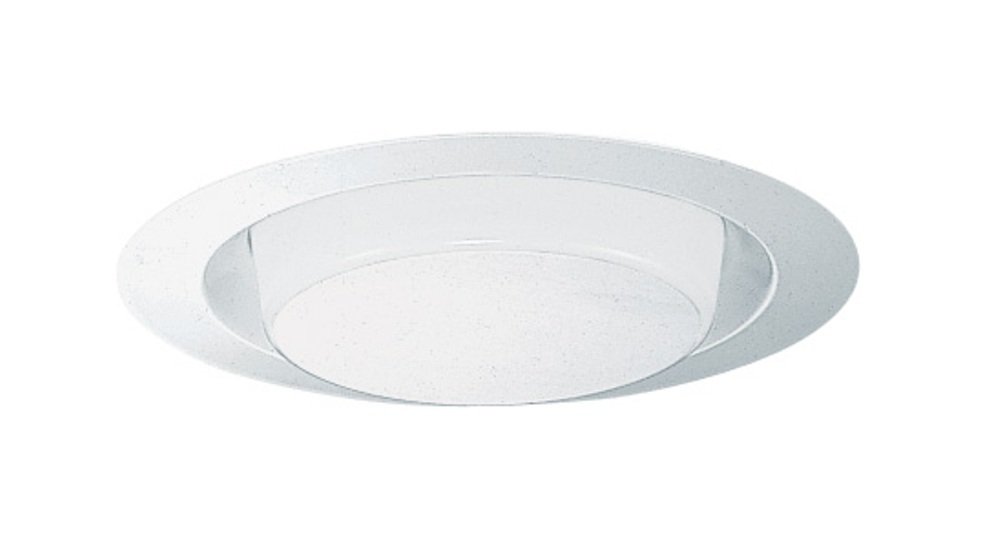 Lighting Group 21-PW 244S BWH Light, Plastic White