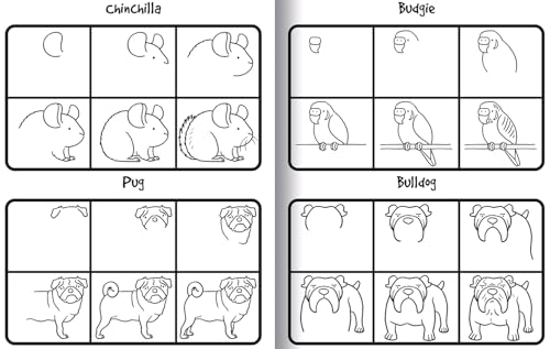 image for Imagine That How to Draw 101 Pets