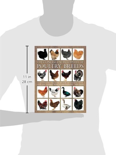 Southwater Hams, Fred The Concise Encyclopedia Of Poultry Breeds: An Illustrated Directory Of Over 100 Chickens, Ducks, Geese And Turkeys, With 275 Photographs thumb #1