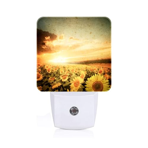 Image of Sunflower Field at Sunset Night Light,Plug Into Wall Decor for Stairway,Hallway,Kitchen,Dusk to Dawn Sensor Nightlights for Boys /Girls /Women /Men Room Gifts