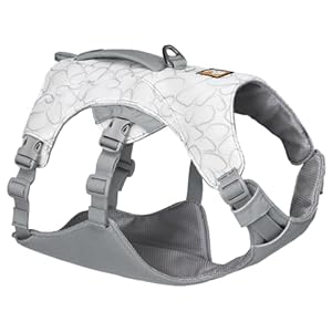 Ruffwear, Swamp Cooler Dog Harness, Lightweight with Evaporative Cooling for Hot Weather, Graphite Gray, Medium