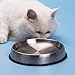Dr. Catsby's Water Bowl - Keep Your Cat Hydrated and Healthy with Our New and Improved Design