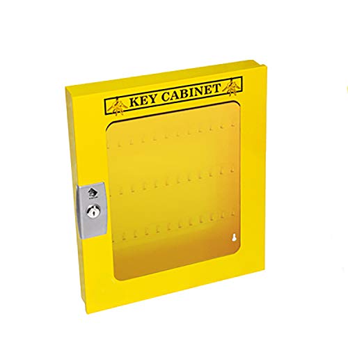 Zing Green Products 7332YC Key Cabinet, 60 Key Capacity