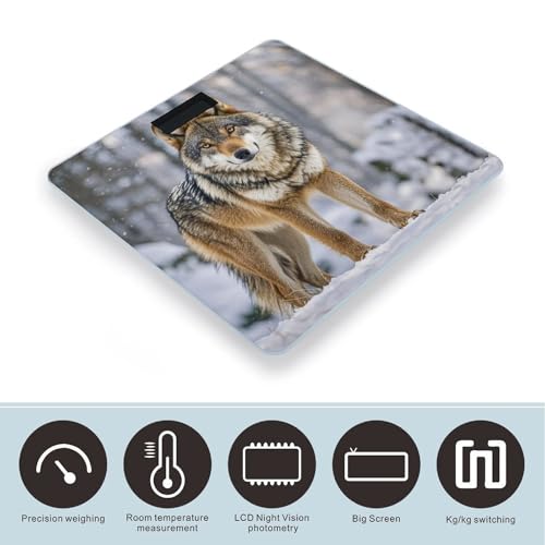Báscula digital de baño con vidrio templado Wolf miniatura 3