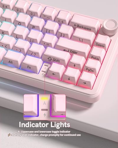 Image of womier L65 60% Pink Mechanical Keyboard with Knob,4000mAh,Tri Mode USB-C /BT5.0 /2.4G,RGB Backlit,Hot Swap,Crystal Jelly keycaps,Linear Switch,Gasket Mounted Wireless Gaming Keyboard for PC /Mac