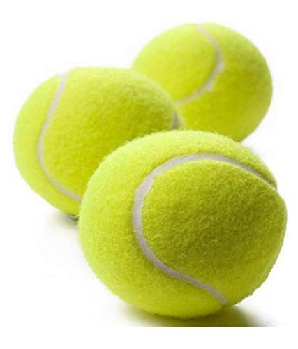 Vankab Rubber Canvas Ball for Playing Cricket Pack of 3 Balls (Green) (B09YVTYQL6) Amazon Price History, Amazon Price Tracker