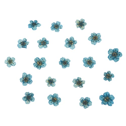 Flores prensadas secas azules para manualidades 60 pcs miniatura 1