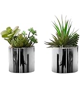 Monarch Specialties I 9550 Artificial Plant, 7" Tall, Succulent, Indoor, Set of 2, Decorative, Gr...
