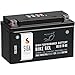 SIGA YT7B-BS Motorradbatterie Gel 7Ah 12V 180A/EN GEL12-7B-BS entspricht 50719 YT7B-4 GT7B-4 CT7B4 FT7B4 EB7B-BS 507 901 012 auslaufsicher