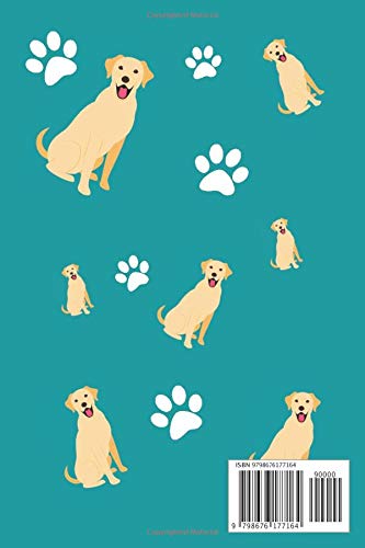 Chase Your Dreams With A Labrador: Gratitude Journal ~ 6' x 9' 120 Pages