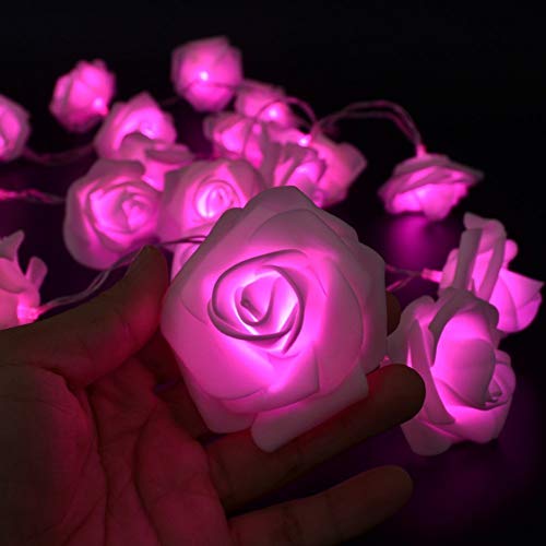 Image of KharidoLive 40 LED Pink Rose String Lights Home Decoration (6 Meter Long, 2 Pin Plug, LED Color Pink - Steady)