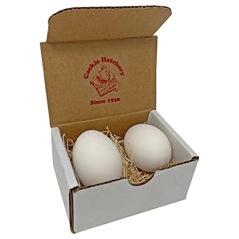 Cackle Hatchery Ceramic Nest Eggs (2ct) (White) Cover
