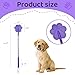 GSNYSAN 3 Pcs Dog Training Stick Pole, 16.73 Inch Puppy Training Tools Whip with Anti-Slip Handle, Outdoor and Indoor Exercise Interactive Dog Pole for Small Medium Dogs (OrangePurPK)