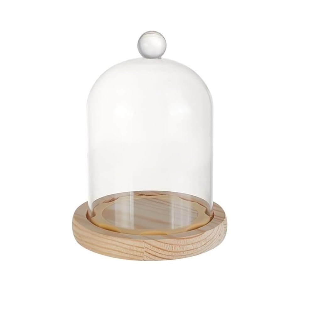 Display Bell Jar 1 piece 140 * 86mm Glass Display Dome Cloche，Cloche Bell Jar Terrarium with Cork Base Decorative Case
