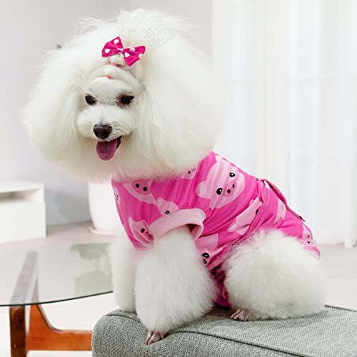 CuteBone Halloween-Hundechirurgie-Erholungsanzug Katze Chirurgischer Strampelanzug weibliche Körperanzüge männlich Verhindern Sie, DASS das Haustier Wunden leckt SSF01XS-DE