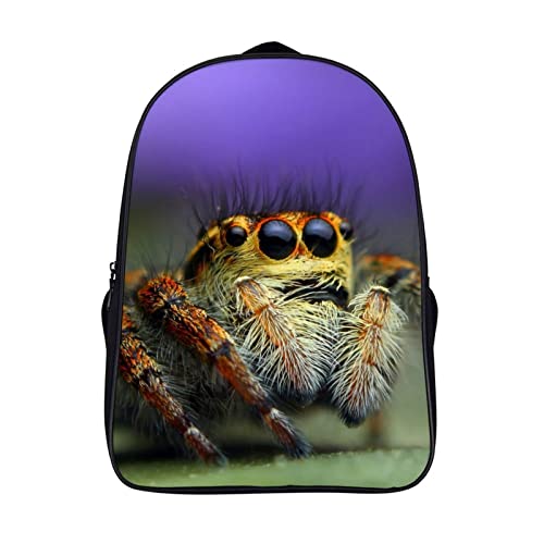 Sac à dos scolaire enfants Spider idéal pour l'école et sorties