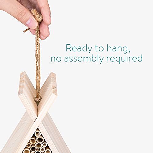 Navaris Casetta per Insetti in Legno Abete