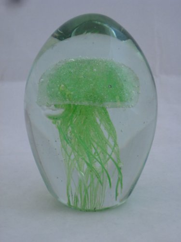 Jellyfish NA Glass Jellyfish Paperweight Color Green 4.5 Inch cover