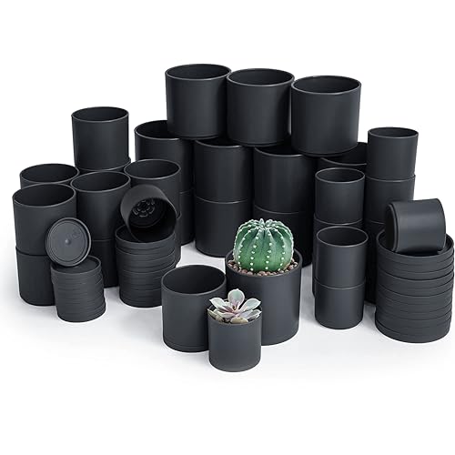 D'vine Dev 36-Pack Plastic Planter Pots, 2/2.5/3 in, Black, 74-T-B