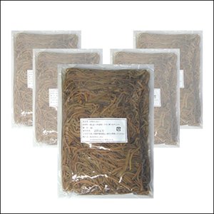 ゼンマイ 1Kg 5個セット