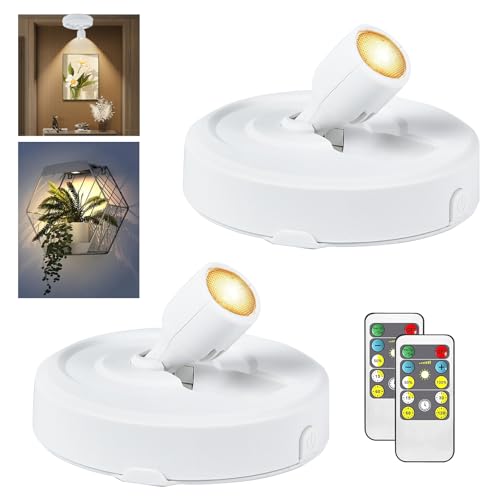RAHAN 2Pack Battery Operated LED Spotlight, Picture Spot Lights, Indoor Uplights with Remote Dimmable & Timer, Plants Spotlight, Wall Display Lights for Dartboard Paintings Portrait Artwork
