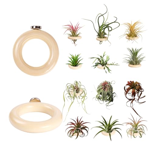 12 Pack Air Plant Holder Magnet Wooden Air Plant Display Stand Small Hanging Planter Wall Mount Holder for Live Tropical Tillandsia Fridge Home Office Decoration Plants Not Included (12, Natural Wood)