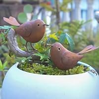 JACKANNA 2 Stück Gartendeko Metall Deko Vögel, Outdoor und Garten Vintage Singvogel Figuren Gartenstecker RostBlechstatuen Garten Deko Draußen für Hof, Garten und Bauernhaus Dekor