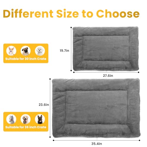 Camas para Perro, Video On Demand Imagen adicional