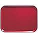 Camtray, Metric, 26.5 Cm X 32.5 Cm, (10-7/16