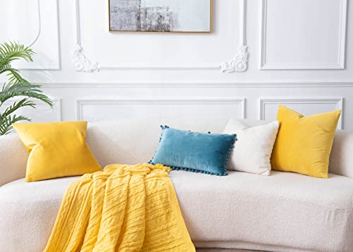 Image of JUSPURBET 24x24 Decorative Velvet Throw Pillow Covers Cases Set of 2,Yellow | Cozy Soft Cushion Covers with Invisible Zipper for Couch Sofa Bed Living Room Bedroom Home Decor