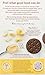 Simple Mills Cocoa Cashew Crème Sandwich Cookies - Gluten Free, Vegan, Healthy Snacks, 6.7 Ounce (Pack of 2)