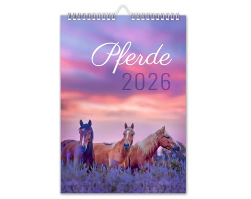 Kalender 2026 Pferde Wandkalender DIN A4 Pferdekalender mit...